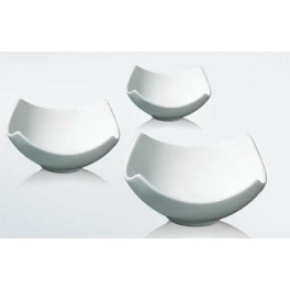 BOWL DEGUSTACION 7X7XH2,4XH3,5 cms